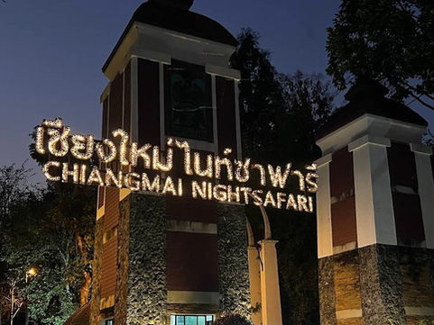 【清邁景點】清邁夜間動物園 Night Safari｜必玩亮點、交通門票、附近景點及餐廳