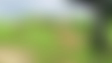 日本:奈良必去-若草山