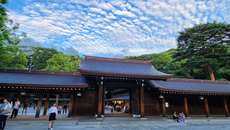 ［東京景點］明治神宮參拜攻略：原宿必訪神社、御守繪馬、森林步道交通指南