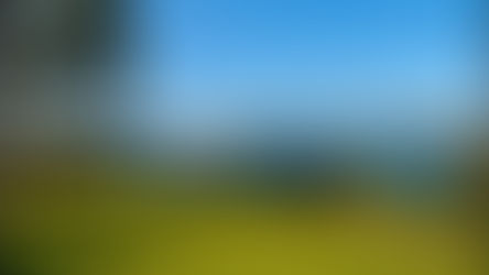 ［悉尼景點］｜Royal Botanic Garden Sydney 皇家植物園攻略：交通、必看景點、行程路線