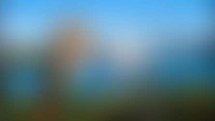 ［悉尼景點］｜塔龍加動物園 Taronga Zoo Sydney 攻略：交通、門票、必看項目及行程指南
