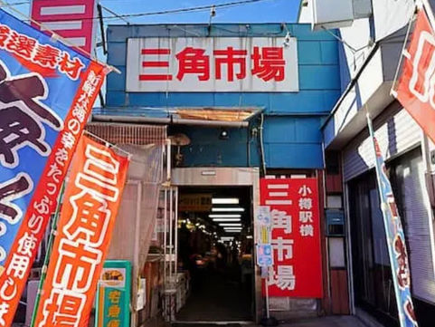 ［小樽景點］北海道小樽三角市場攻略：JR小樽站步行 1 分鐘直達，必吃海鮮丼、帝王蟹、海膽與新鮮刺身