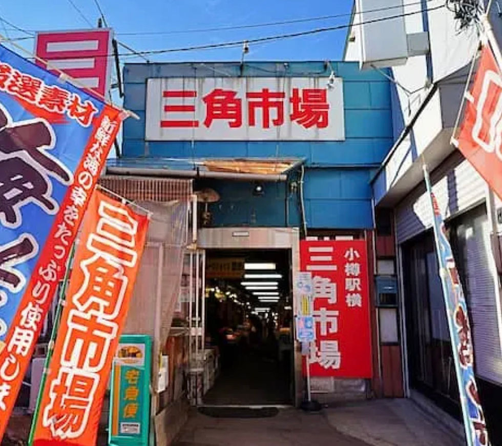 ［小樽景點］北海道小樽三角市場攻略：JR小樽站步行 1 分鐘直達，必吃海鮮丼、帝王蟹、海膽與新鮮刺身