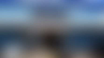 🐟 {悉尼景點] 悉尼魚市場｜Sydney Fish Market海鮮、營業時間、交通、必吃必看推薦