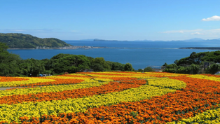 日本:福岡必去-能古島