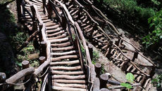 ［台中必去景點］｜大坑風景區登山步道攻略
