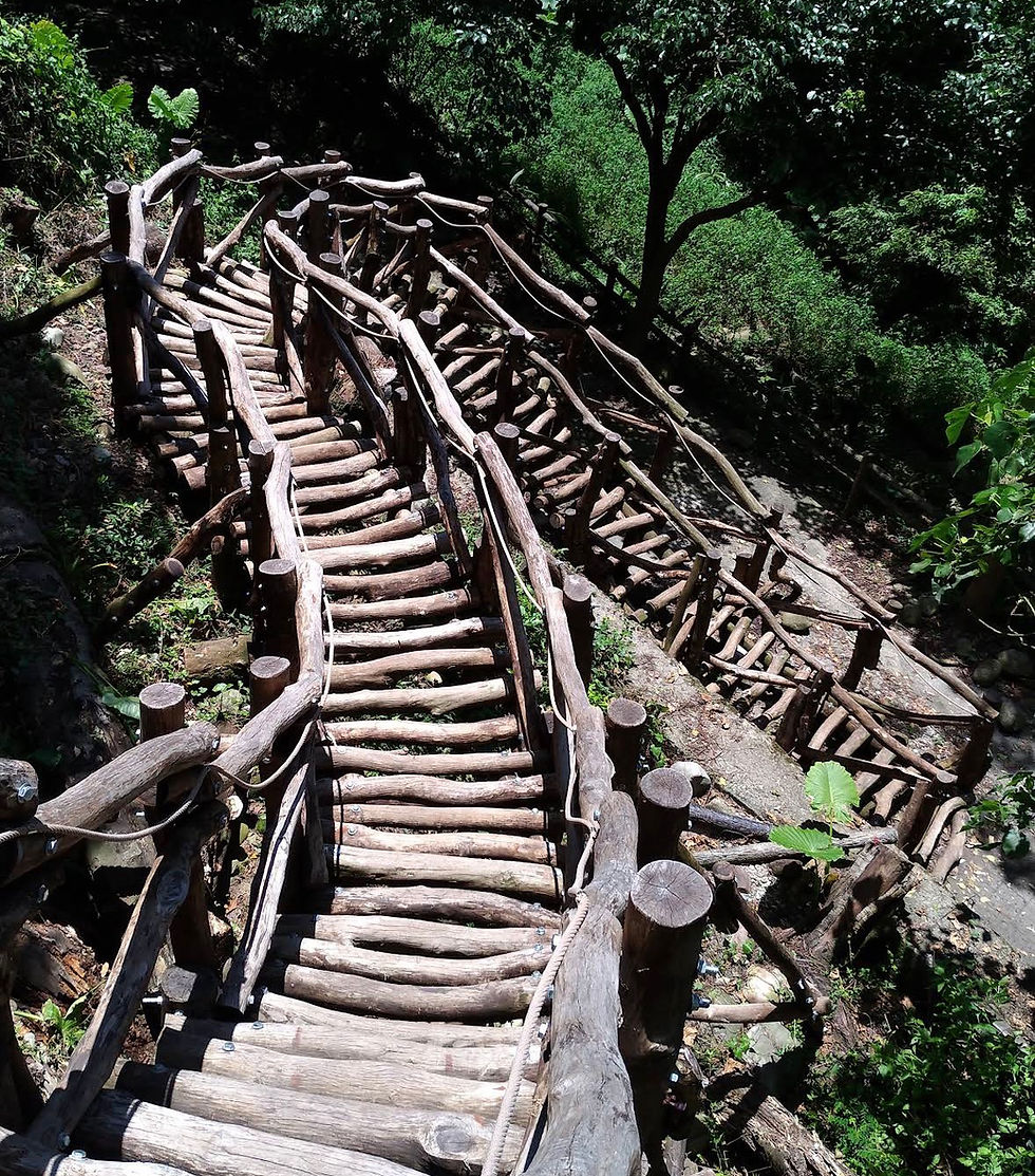 ［台中必去景點］｜大坑風景區登山步道攻略