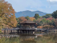 [奈良景點] 浮見堂｜鷺池水上涼亭、奈良公園賞櫻紅葉、交通、最佳拍攝時間