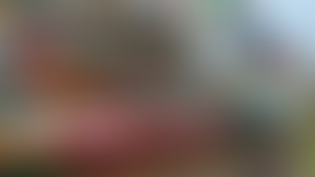 日本:大阪必去-道頓堀