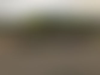 The Patriots are Coming!!