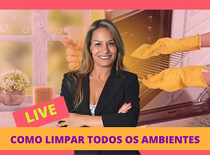 limpeza.png