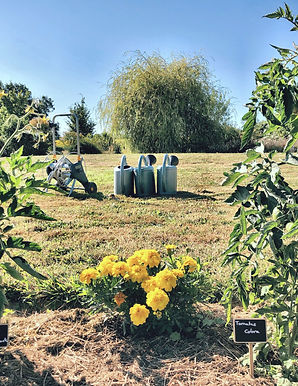 9:WELCOME IN MY GARDEN.JPG