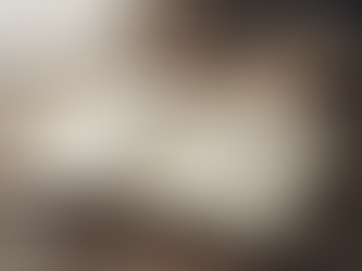 Aprenda os cumprimentos Importantes na Polônia: O Básico para se Comunicar Bem.