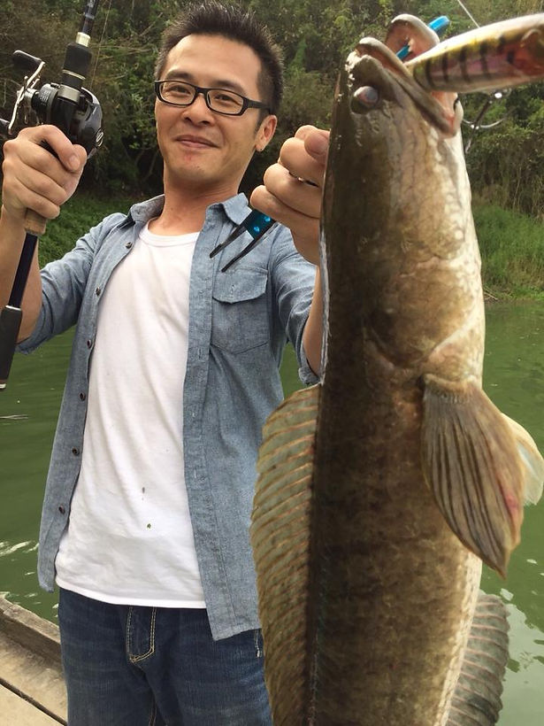 fishing in Taiwan / Snake head fishing in Taiwan / tulala eu 180