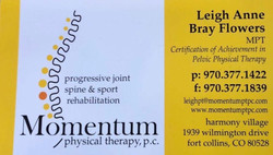 Momentum Physical Therapy