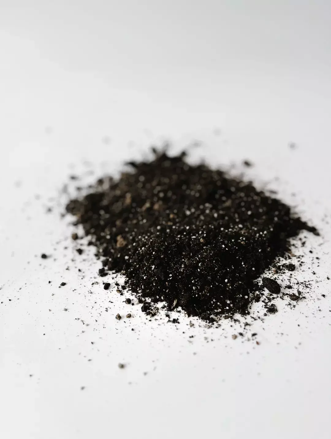 podłoże do kaktusów i sukulentów