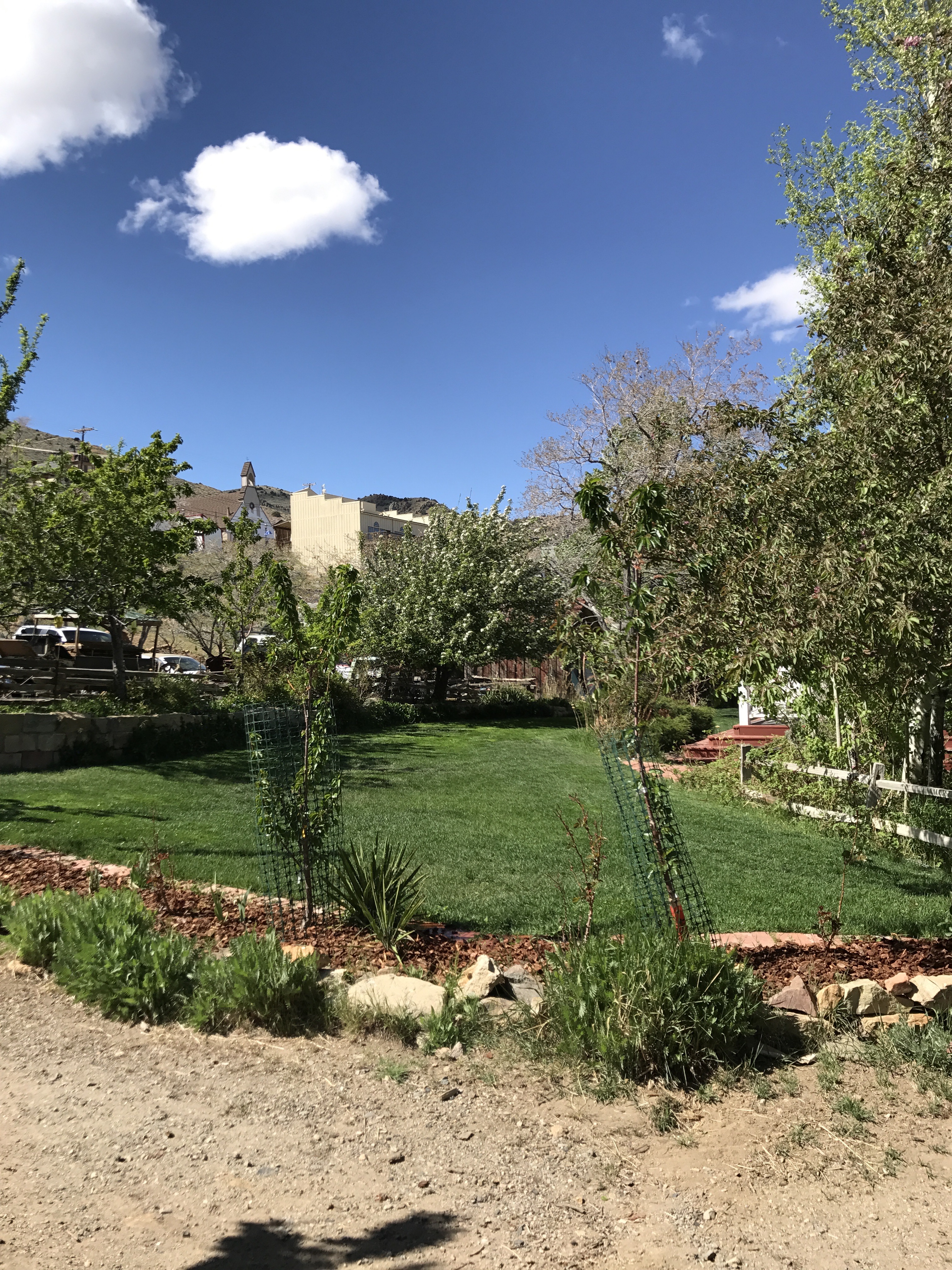 Early Spring Garden