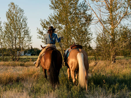 HOW TO ATTRACT IDEAL CUSTOMERS TO YOUR WESTERN BRAND