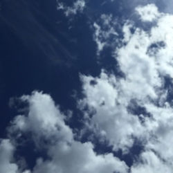 D A Y  D R E A M I N G