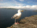 Slea Head, Dingle Penninsula