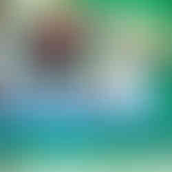 Colegio Villa Logroño