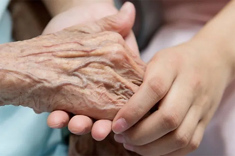 manos viejas y jóvenes.webp