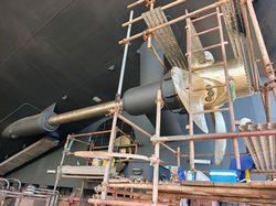 5003626253076073281 (1)