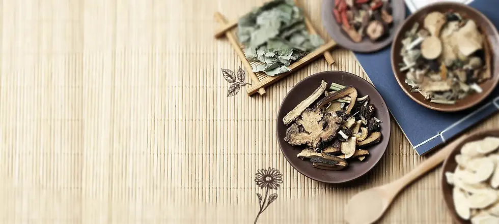 traditional-chinese-medicine-bamboo.webp