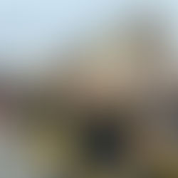 Brauweiler Alaaf! – Rückblick auf den Karnevalszug 2026