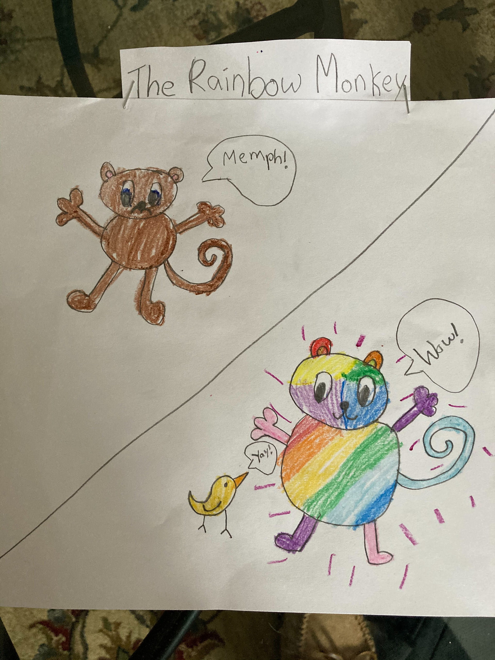 "The Rainbow Monkey"