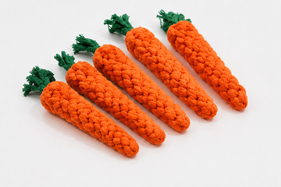 Thumbnail: CozyChew Carrot Toy