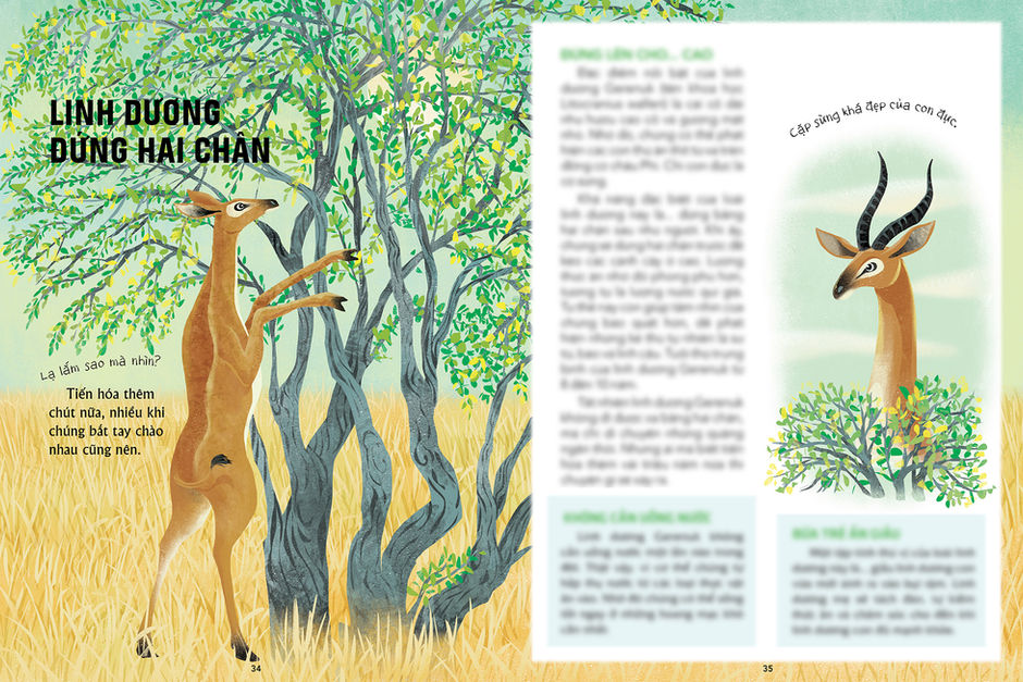 nhung con vat ki la nhat qua dat - 21x28cm18.jpg