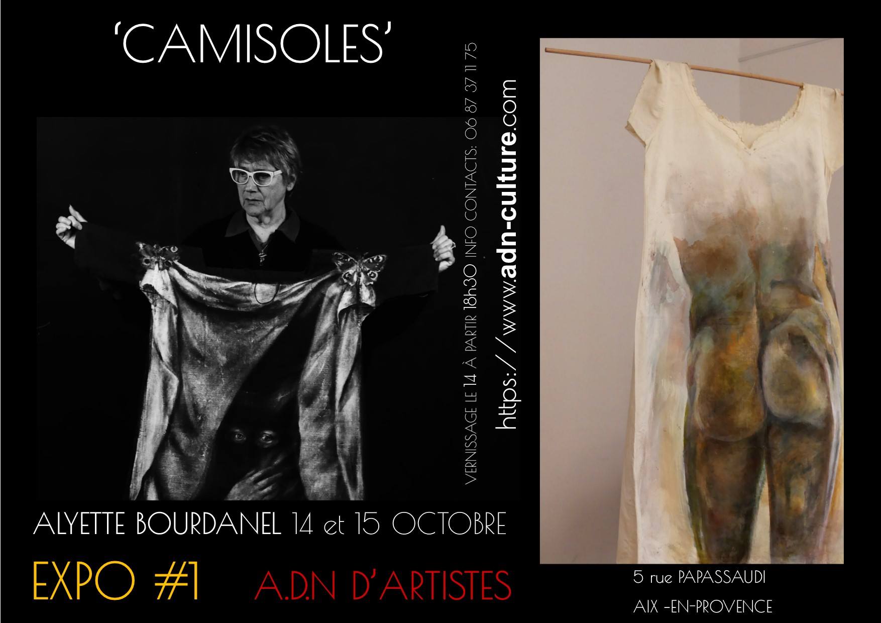 Aliette-Bourdanel-Alyette-Bourdanel-Artiste-peintre-et-plasticienne-exposition-Camisoles-à-la-galeri