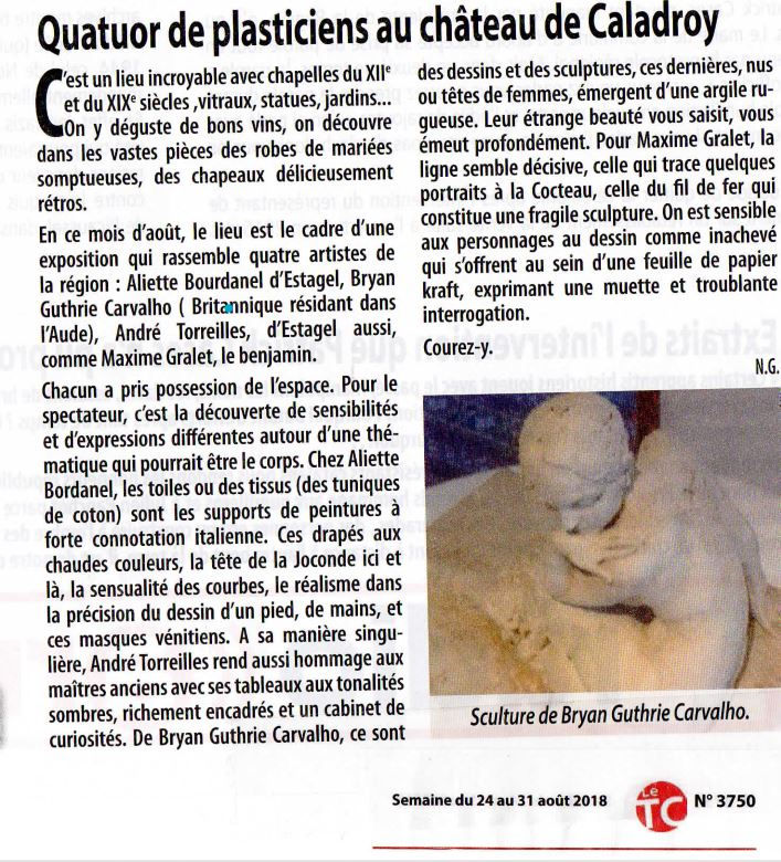 article photo