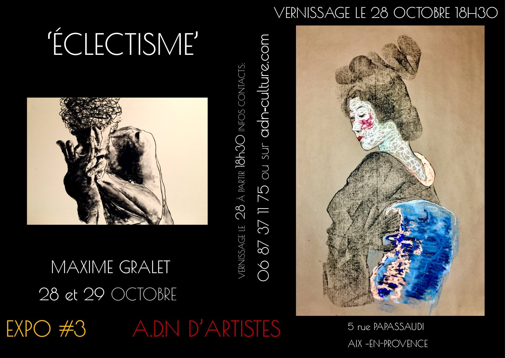 Exposition-Eclectisme-Maxime-Gralet-artiste-peintre-et-dessinateur-galerie-ADn-Aix-en-Provence-assoc