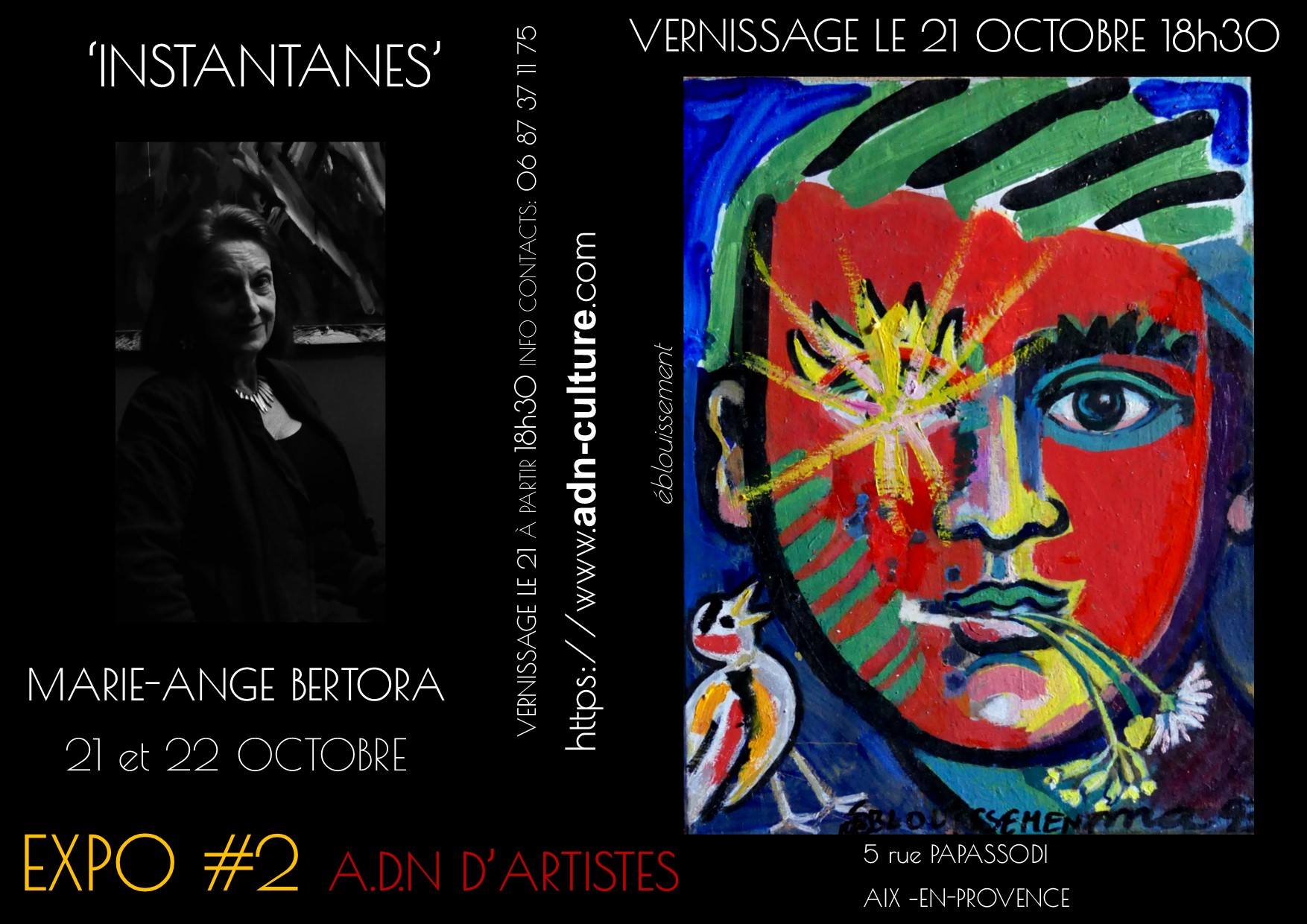 Marie-Ange-Bertora-artiste-peintre-et-photoographe-exposition-instantané-a-la-galerie-ADN-Aix-en-Pro