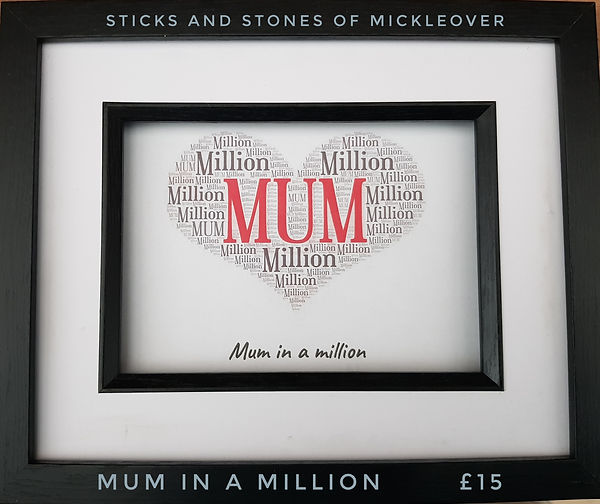 05 Mum in a Million (price).jpeg