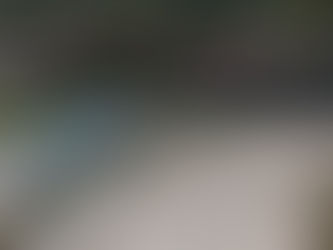 Nueva Condepor Hereda como Basurero el Histórico Lempiras Reina