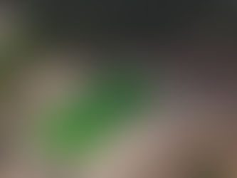 Nueva Condepor supervisa proyectos en Olancho