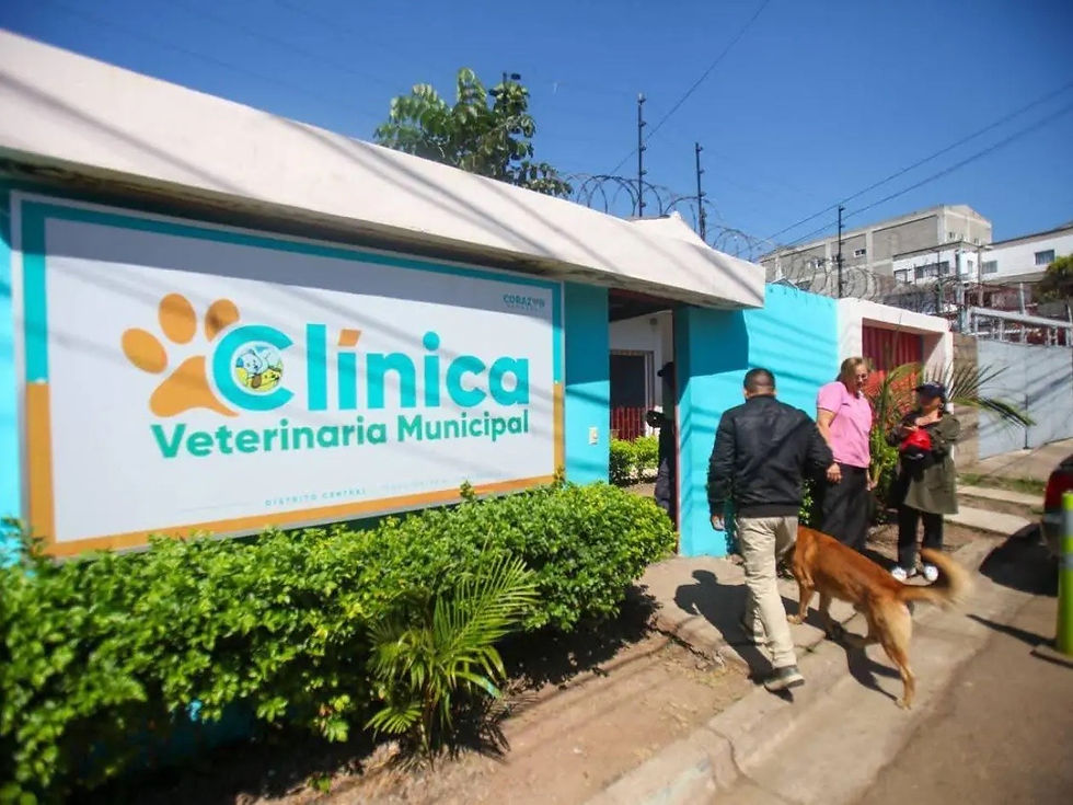 Alcaldía capitalina ampliará cobertura de la Veterinaria Municipal
