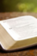 AdobeStock_165965366.jpeg