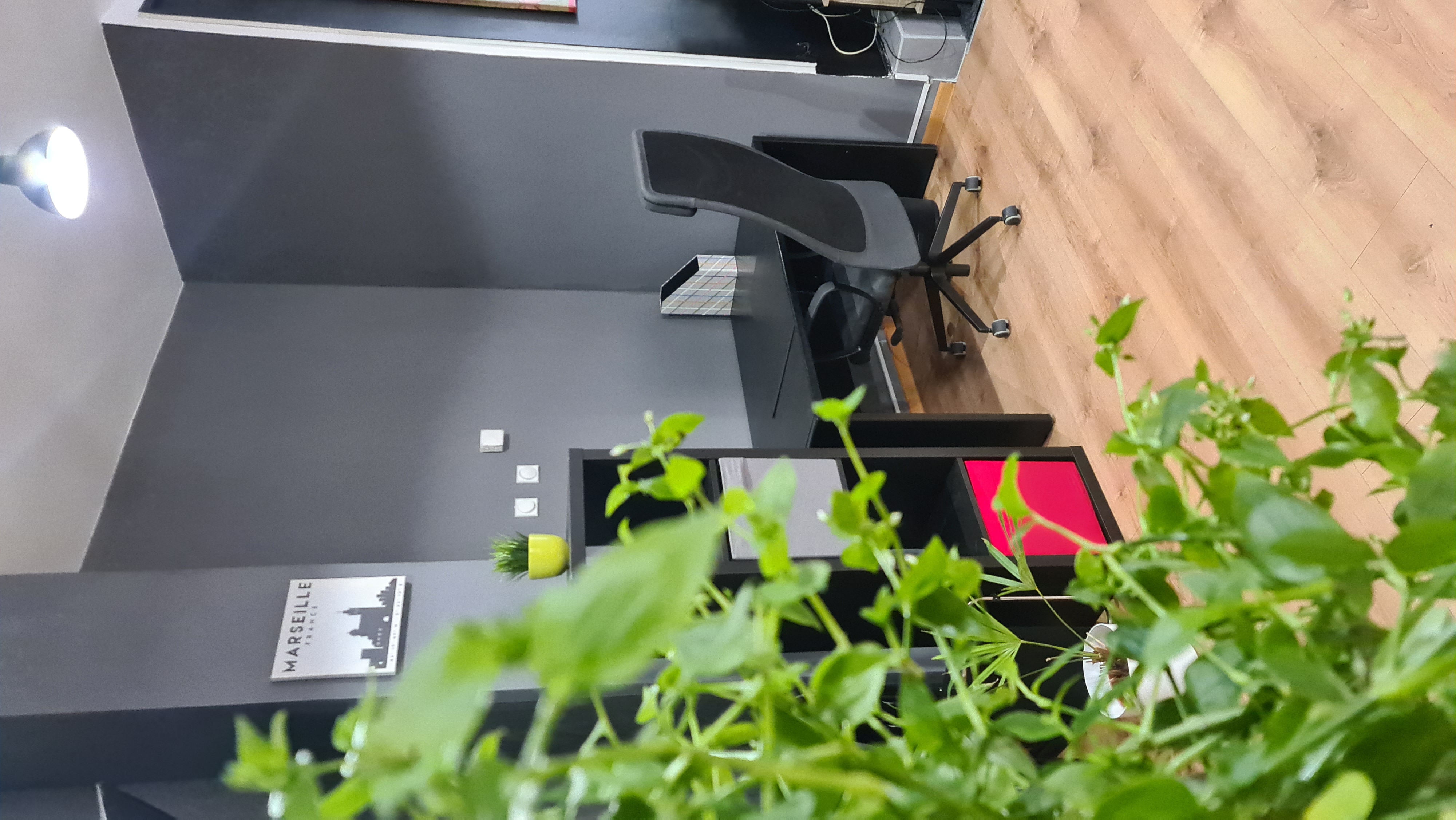 Garden Studio enterijer i radni prostor