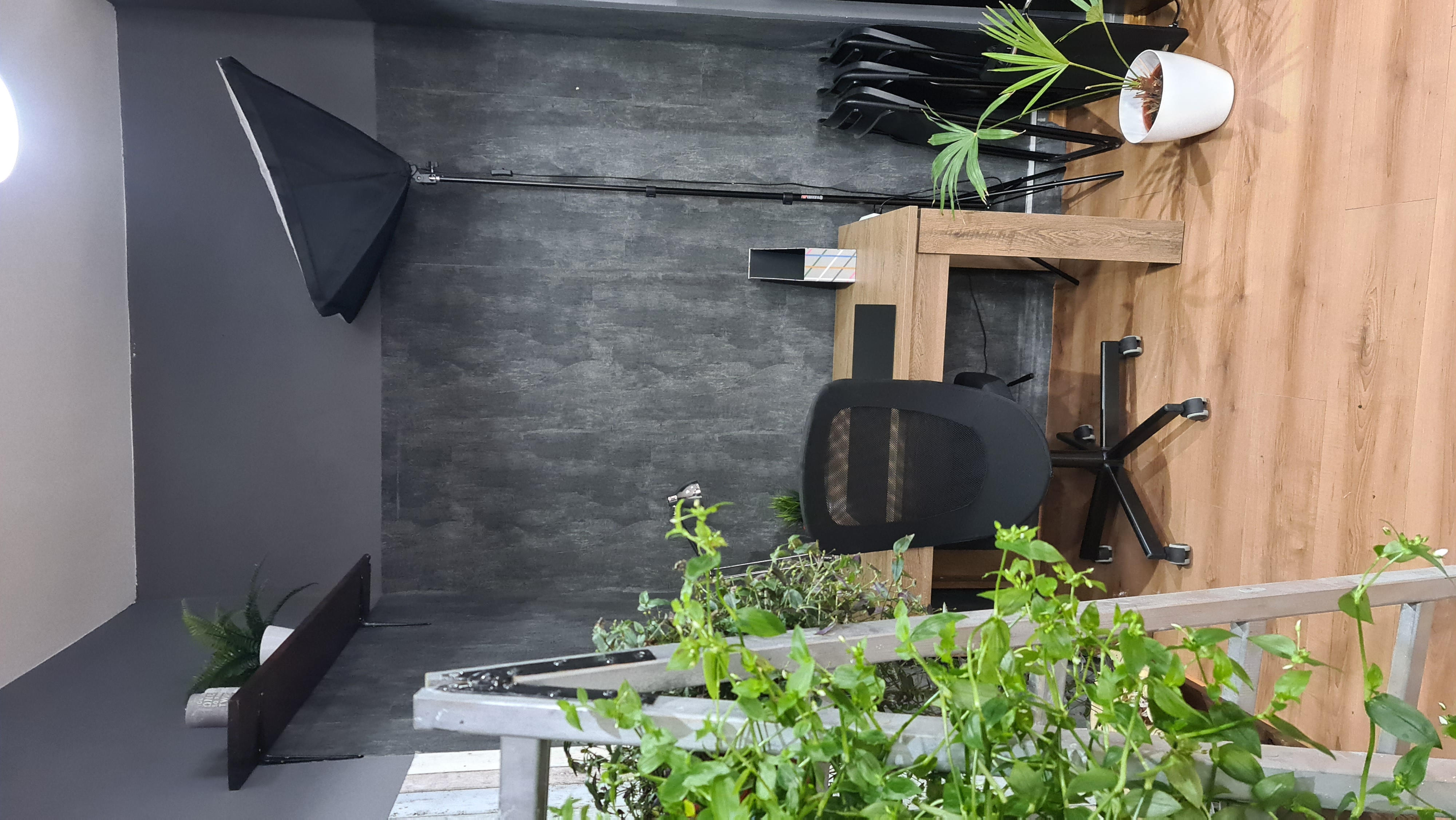 Garden Studio lounge i meeting prostor