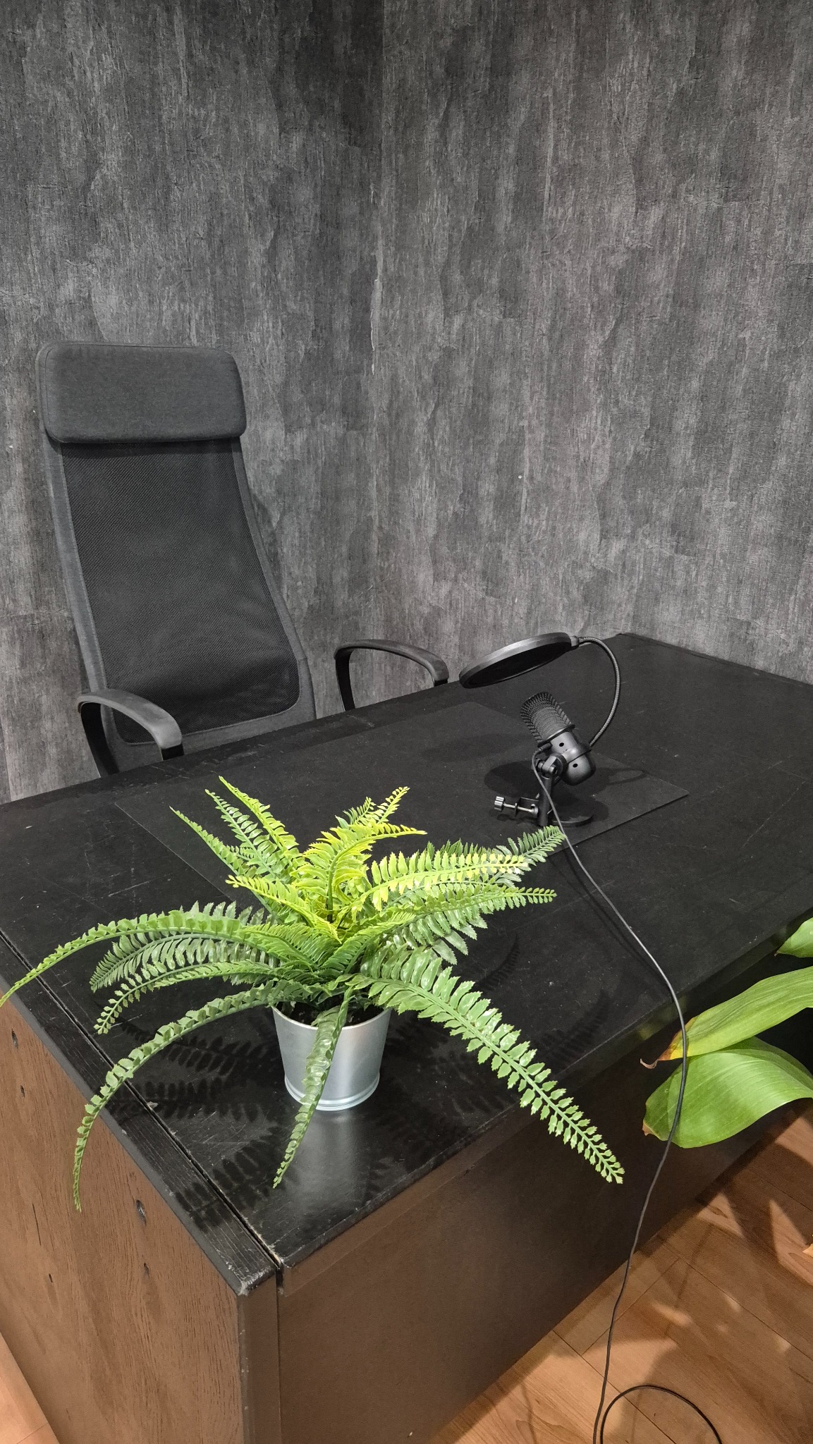 Podcast sto i mikrofon u Garden Studiju