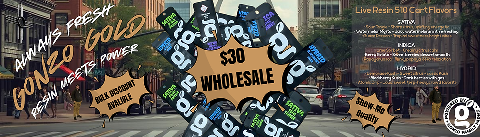 Missouri Hero Banner-2.png