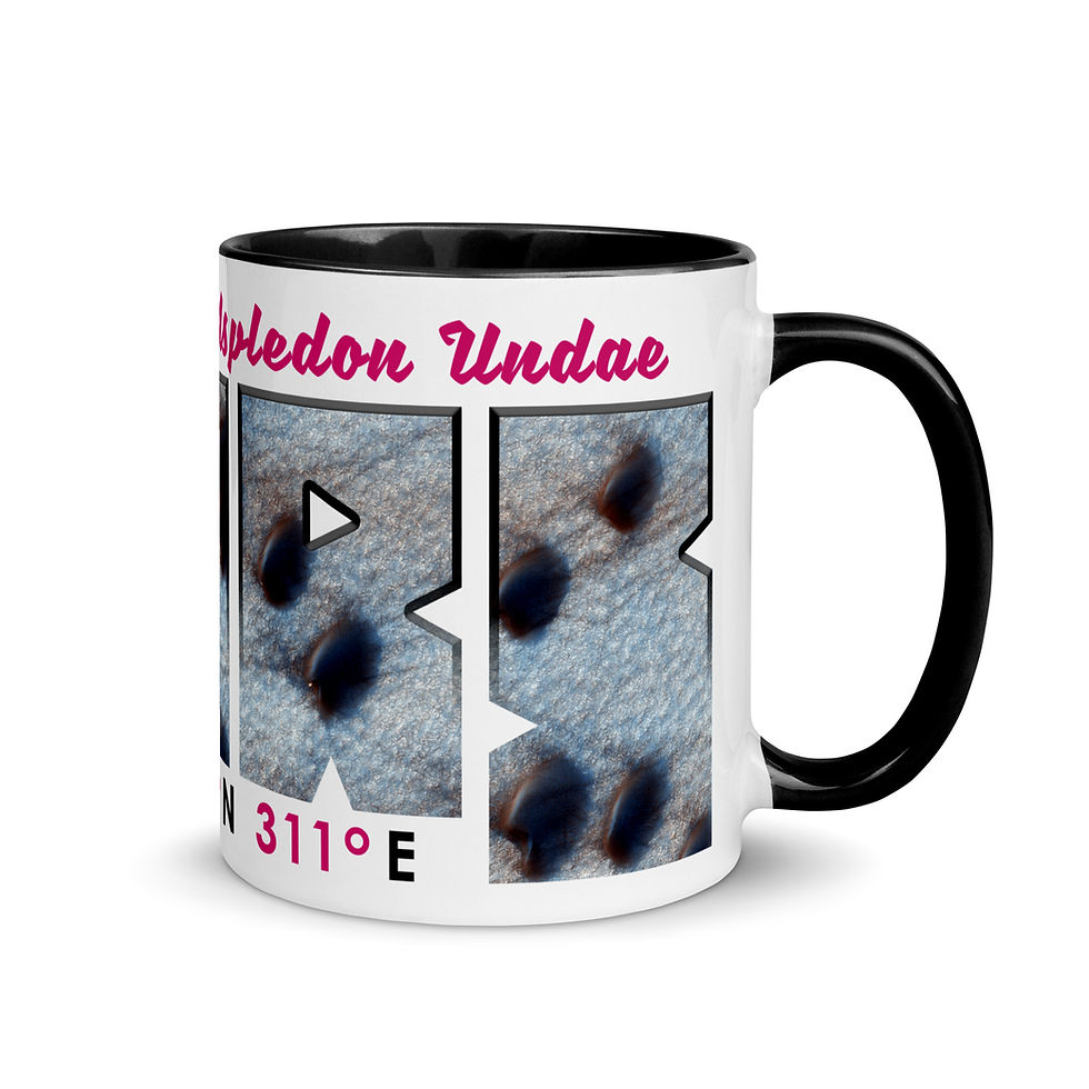 Thumbnail: Aspledon Undae -- 11 oz White Glossy Ceramic Mug with Color