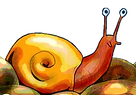 escargot_détouré.png