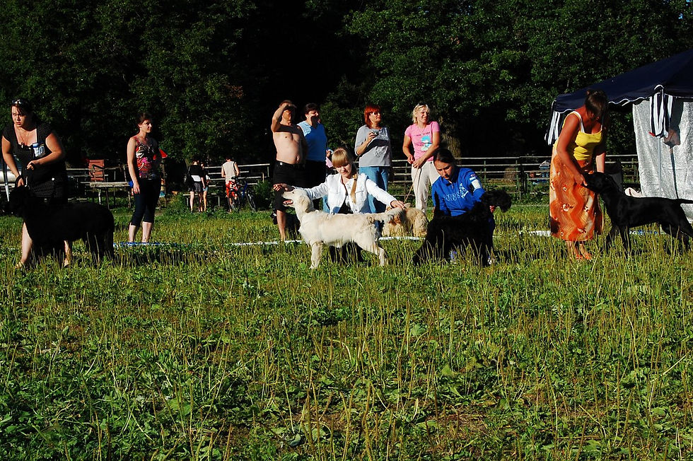 выставка 05.07.2010.jpg