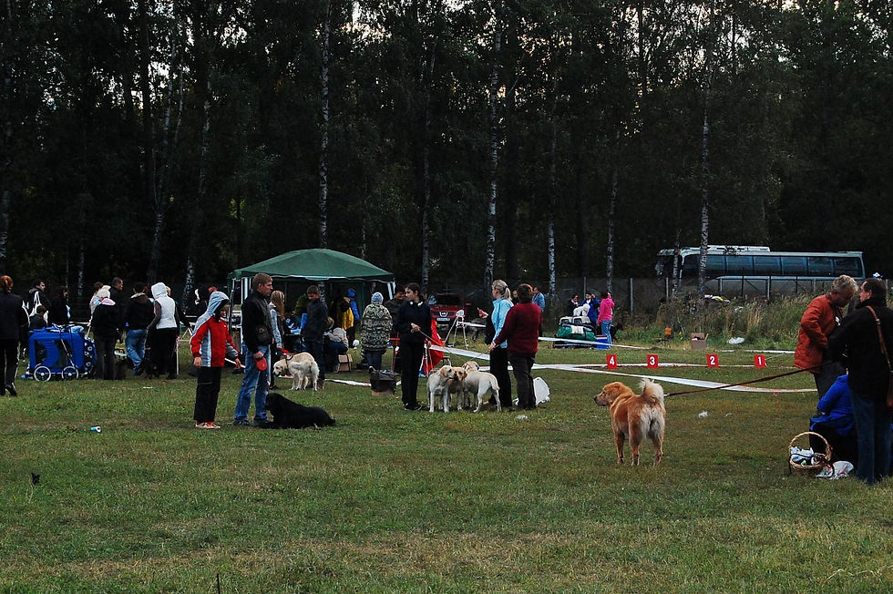 Выставка 30.08.2010 1.jpg