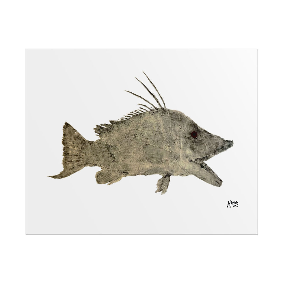 Thumbnail: B&W Hogfish Print